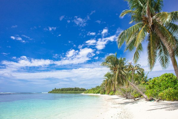 Comment organiser une visite des temples bouddhistes à Kandy, Sri Lanka?
