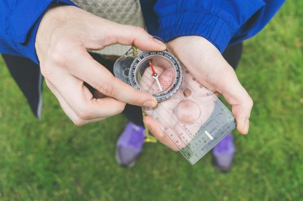 Comment choisir une croisière qui propose des randonnées pour explorer les parcs nationaux en Nouvelle-Zélande?